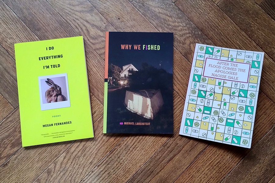 Winner Of The Poetry Book Awards 2023 Megan Fernandes Welsh
